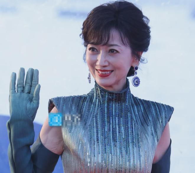 61岁叶童满头白发69岁奚美娟穿老年装打了多少不老女神的脸(图5)
