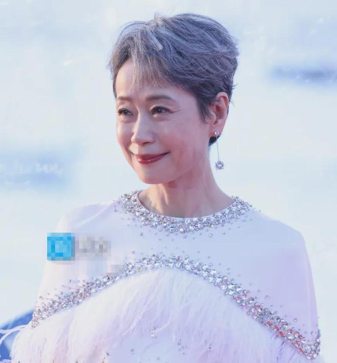 61岁叶童满头白发69岁奚美娟穿老年装打了多少不老女神的脸(图8)