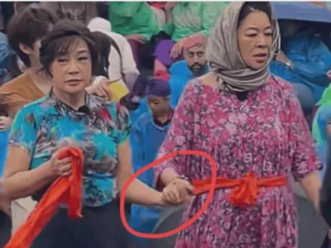 61岁叶童满头白发69岁奚美娟穿老年装打了多少不老女神的脸(图14)